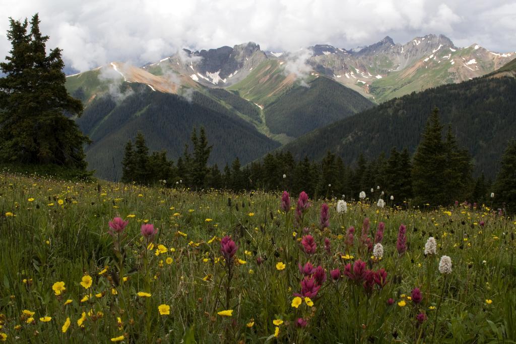 Ouray Chalet Inn Dış mekan fotoğraf